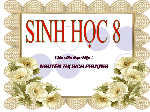 Bài 60. Cơ quan sinh dục nam