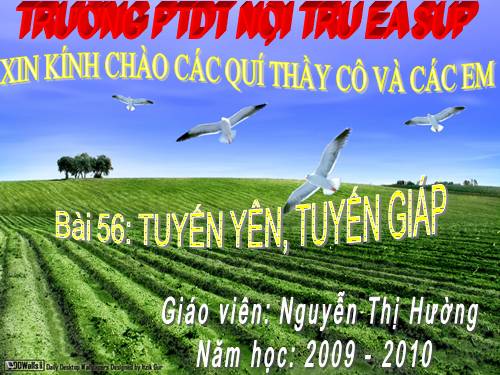 Bài 56. Tuyến yên, tuyến giáp