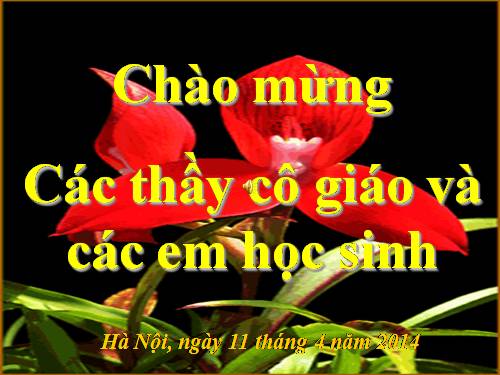 Bài 55. Giới thiệu chung hệ nội tiết