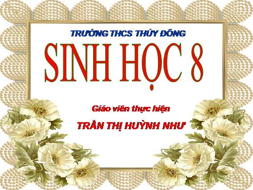 Bài 58. Tuyến sinh dục