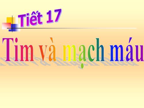 Bài 17. Tim và mạch máu