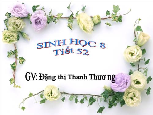 Bài 50 Vệ sinh mắt