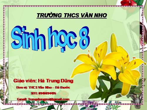 Bài 53. Hoạt động thần kinh cấp cao ở người