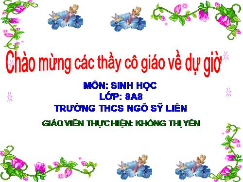 Bài 47. Đại não