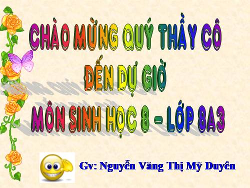 Bài 55. Giới thiệu chung hệ nội tiết