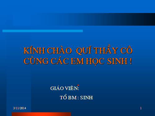 Bài 57. Tuyến tụy và tuyến trên thận