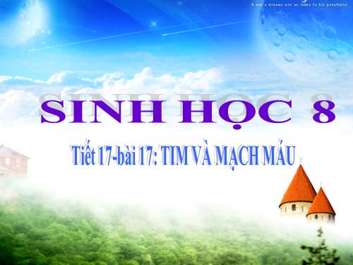 Bài 17. Tim và mạch máu