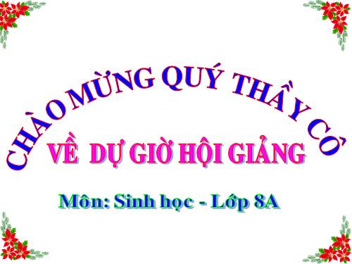 Bài 50 Vệ sinh mắt