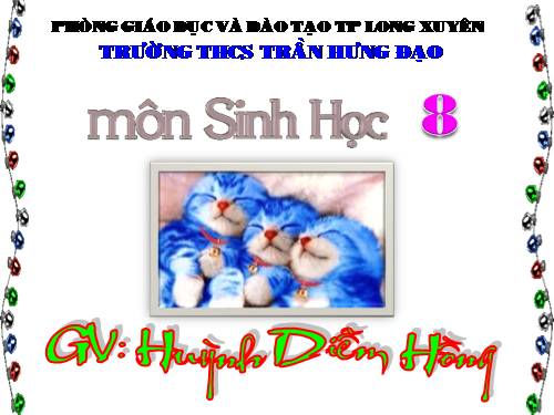 Bài 49. Cơ quan phân tích thị giác