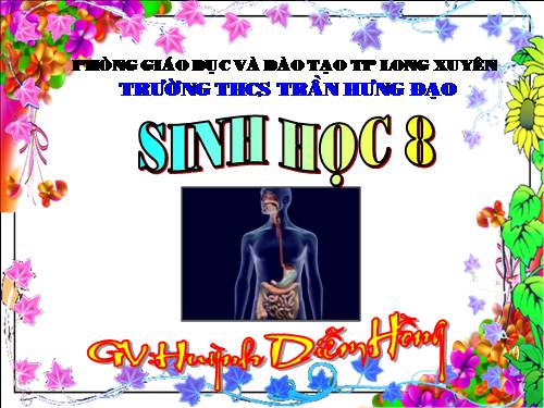 Bài 28. Tiêu hóa ở ruột non