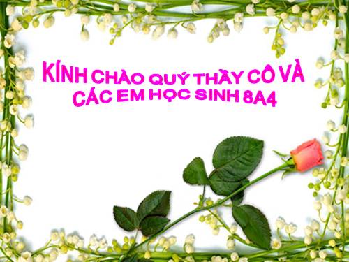 Bài 47. Đại não