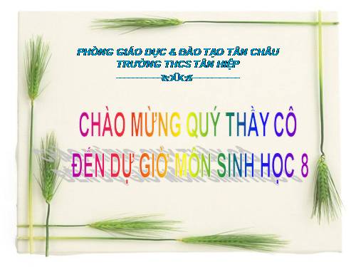 Bài 25. Tiêu hóa ở khoang miệng