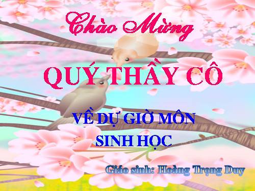 Bài 41. Cấu tạo và chức năng của da