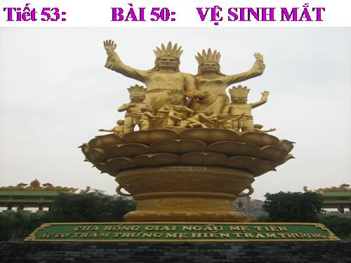 Bài 50 Vệ sinh mắt