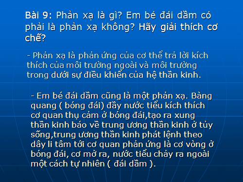 Tiết 31 Bài tập