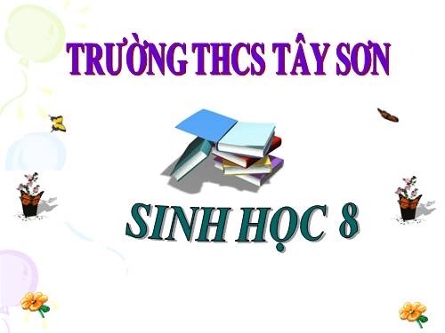 Bài 11. Tiến hóa của hệ vận động. Vệ sinh hệ vận động