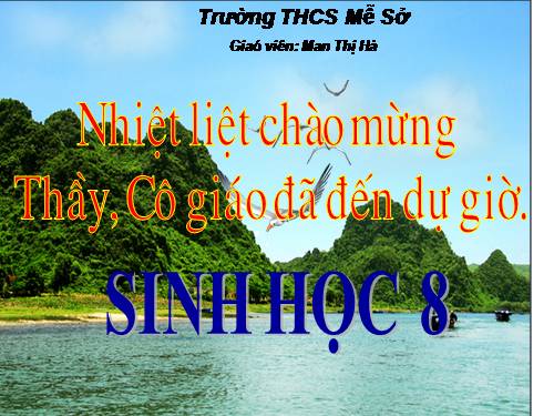 Bài 44. Thực hành: Tìm hiểu về hệ chức năng (liên quan đến cấu tạo) của tủy sống