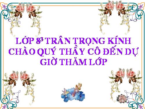 Bài 45. Dây thần kinh tủy