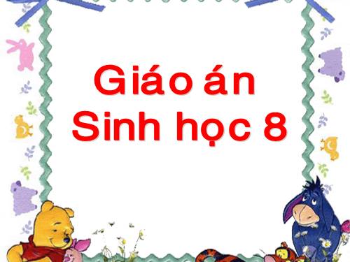 Bài 45. Dây thần kinh tủy