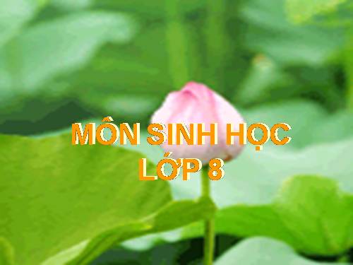 Bài 21. Hoạt động hô hấp