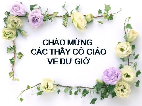 Bài 29. Hấp thụ chất dinh dưỡng và thải phân