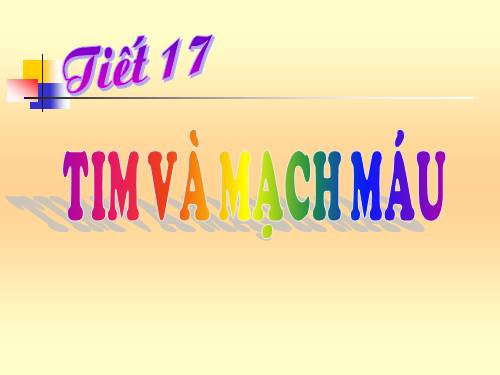 Bài 17. Tim và mạch máu