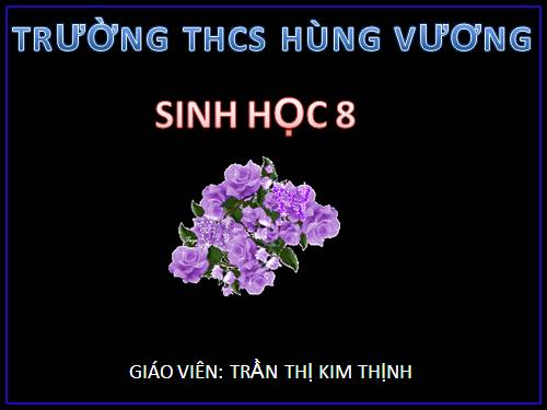 Bài 40. Vệ sinh hệ bài tiết nước tiểu