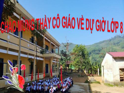 Bài 39. Bài tiết nước tiểu