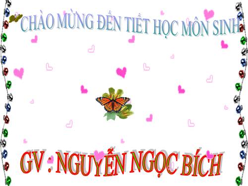 Bài 22. Vệ sinh hô hấp