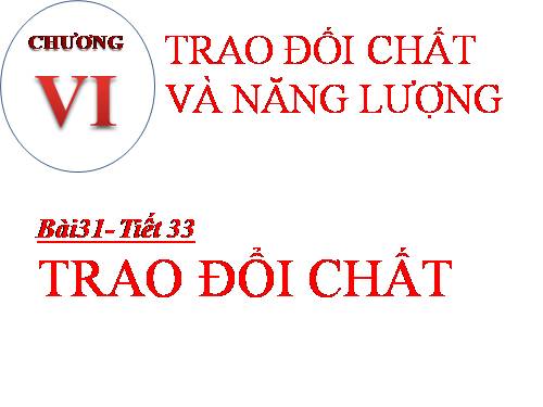 Bài 31. Trao đổi chất