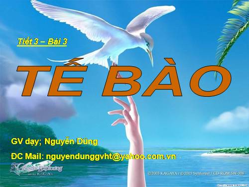 Bài 3. Tế bào