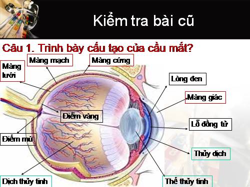 Bài 50 Vệ sinh mắt