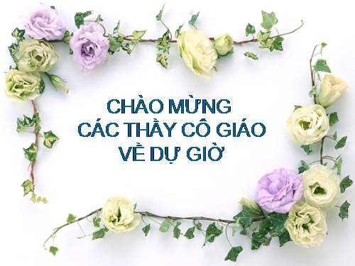 Bài 27. Tiêu hóa ở dạ dày