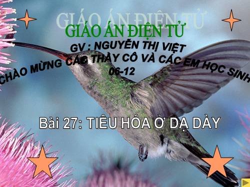 Bài 27. Tiêu hóa ở dạ dày