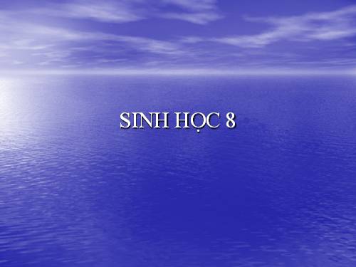 Bài 26. Thực hành: Tìm hiểu hoạt động của enzim trong nước bọt