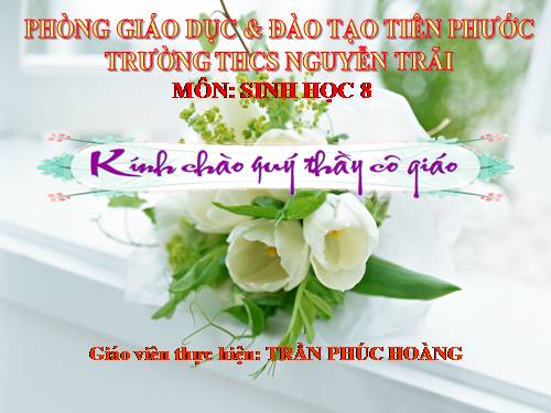 Bài 24. Tiêu hóa và các cơ quan tiêu hóa