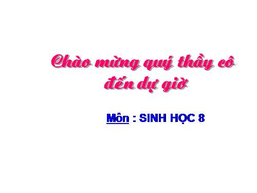 Bài 27. Tiêu hóa ở dạ dày