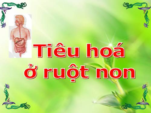 Bài 28. Tiêu hóa ở ruột non