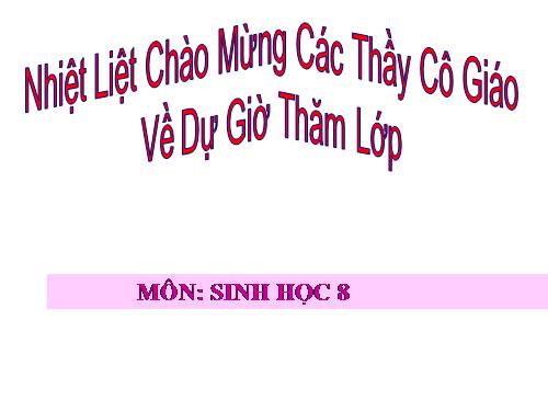 Bài 28. Tiêu hóa ở ruột non