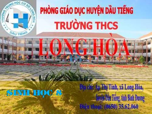 Bài 28. Tiêu hóa ở ruột non