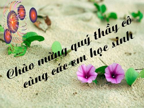 Bài 29. Hấp thụ chất dinh dưỡng và thải phân