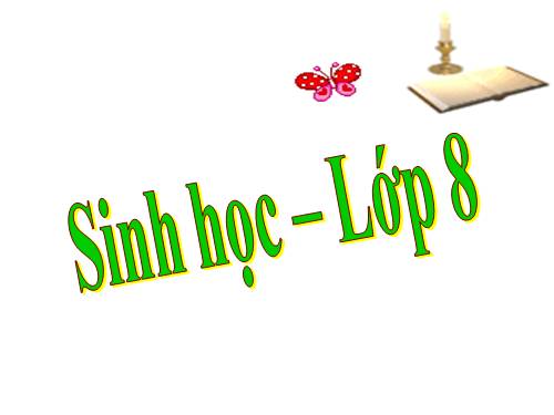 Bài 25. Tiêu hóa ở khoang miệng