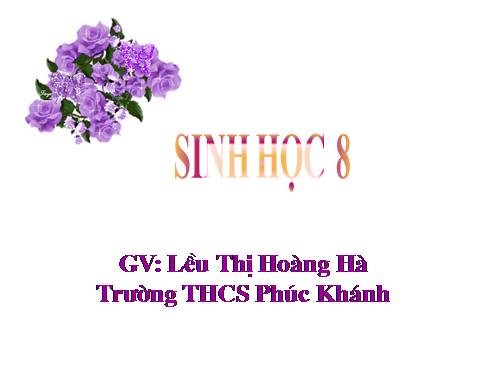 Bài 26. Thực hành: Tìm hiểu hoạt động của enzim trong nước bọt