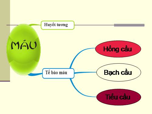 Bài 14. Bạch cầu- Miễn dịch