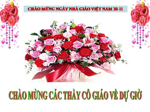 Bài 17. Tim và mạch máu