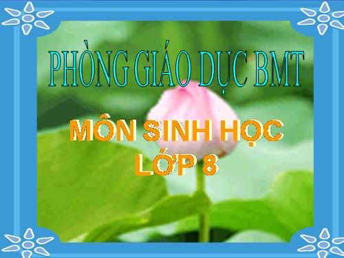 Bài 21. Hoạt động hô hấp