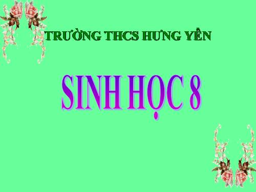 Bài 16. Tuần hoàn máu và lưu thông bạch huyết