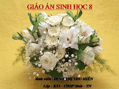 Bài 25. Tiêu hóa ở khoang miệng