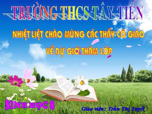 Bài 20. Hô hấp và các cơ quan hô hấp