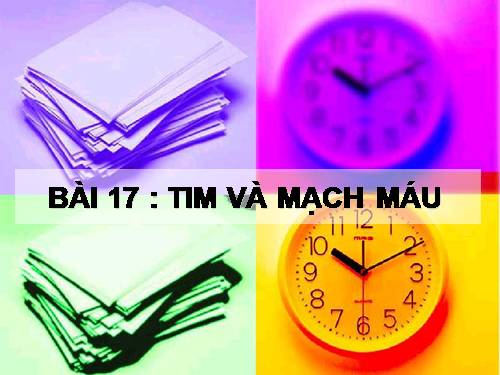 Bài 17. Tim và mạch máu